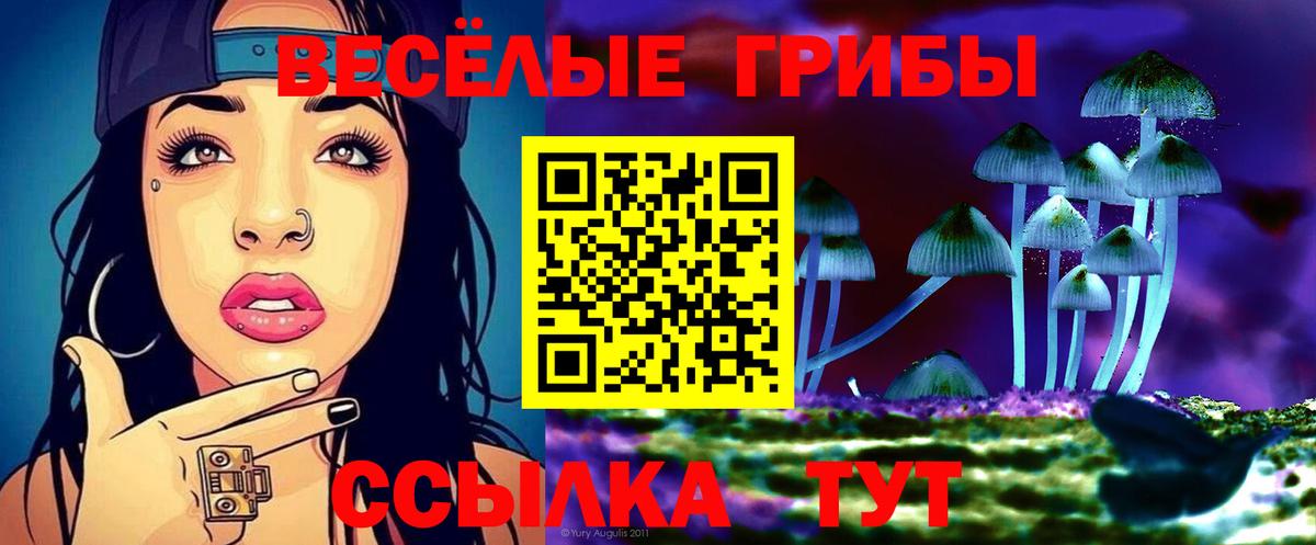 Галлюциногенные грибы ЛСД Александров