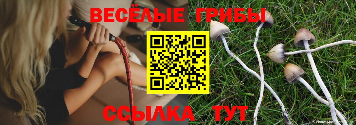Александров  Галлюциногенные грибы мицелий  Вход с VPN 